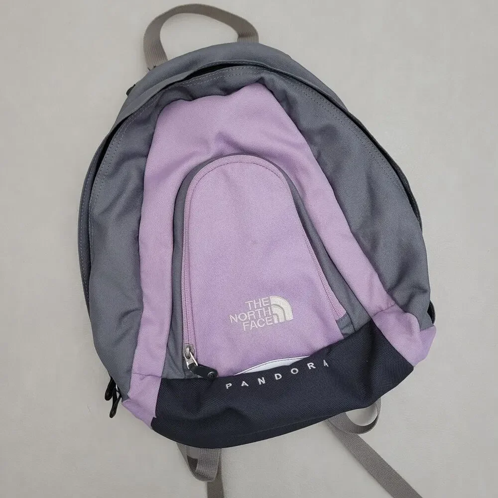 The North Face Pandora Mini Backpack Purple Gray Daypack Hiking Skiing School